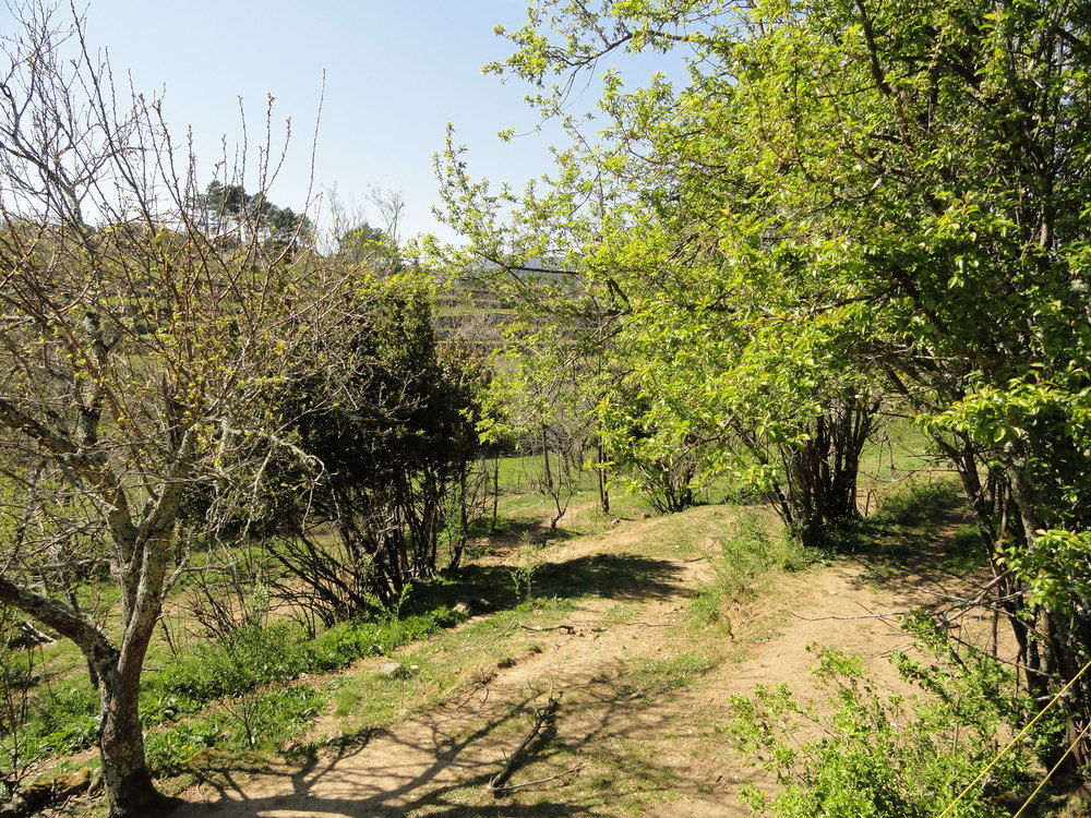 Chambre d'hôtes Au creux du Chambon Joyeuse Exterior foto